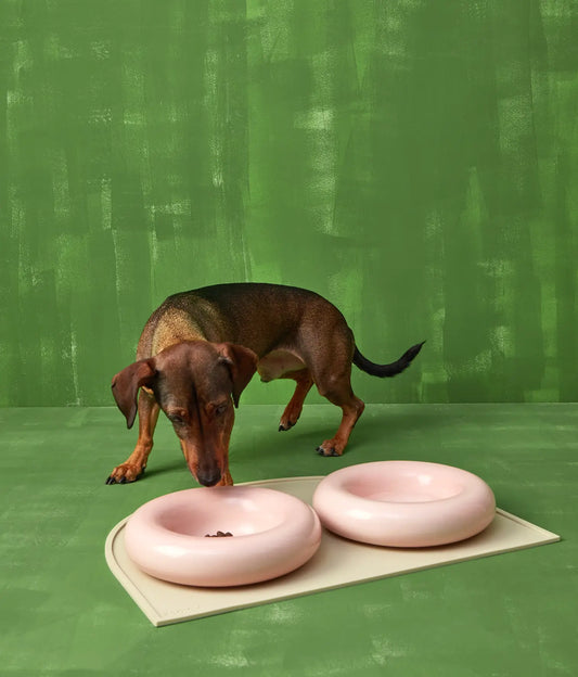 Brauner Keramiknapf für Hunde