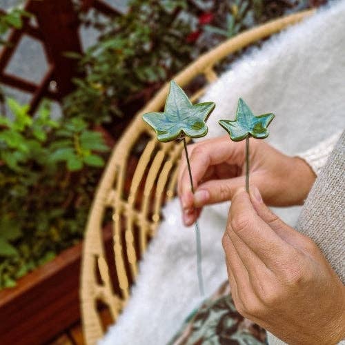 Efeu Blatt