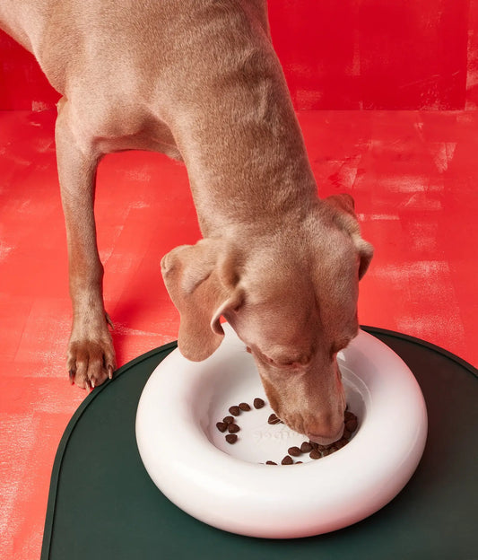 Weißer Keramiknapf für Hunde