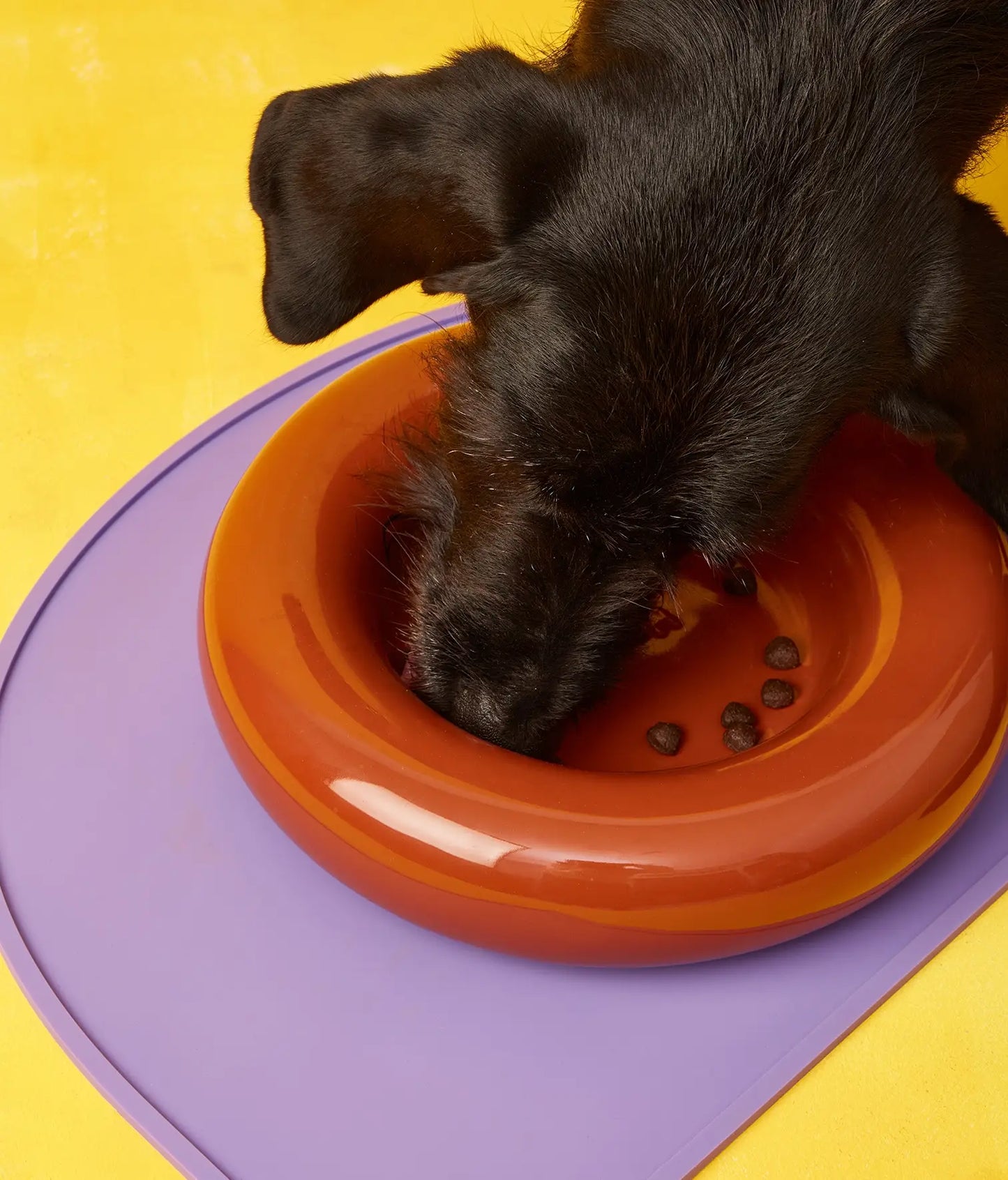 Brauner Keramiknapf für Hunde