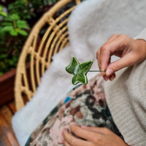 Efeu Blatt