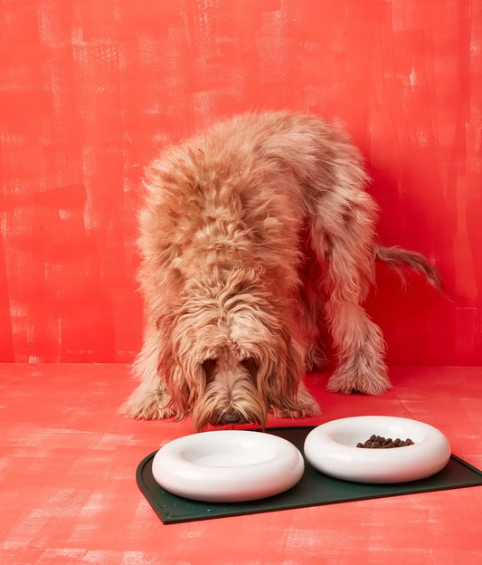 Weißer Keramiknapf für Hunde