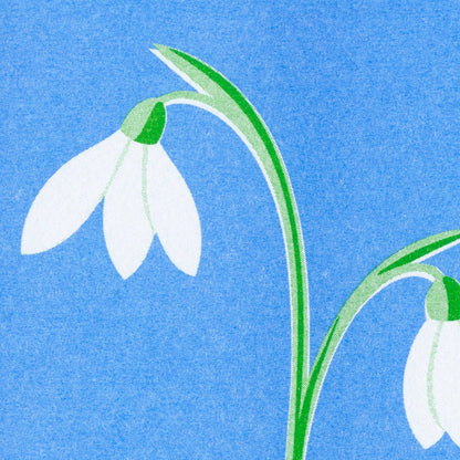 Schneeglöckchen Postkarte