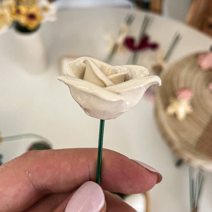 Valentinstags Rose neu