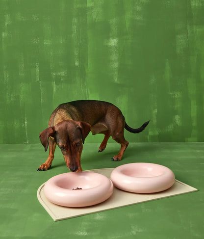 Weißer Keramiknapf für Hunde