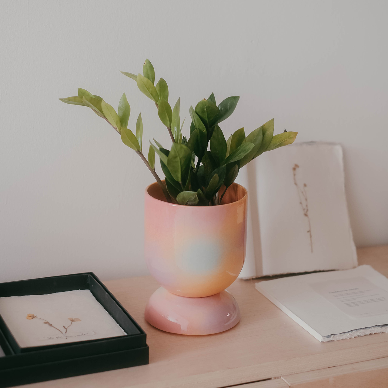 EUPHORIA GROSSER TOPF UND UNTERTASSE