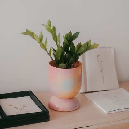 EUPHORIA GROSSER TOPF UND UNTERTASSE