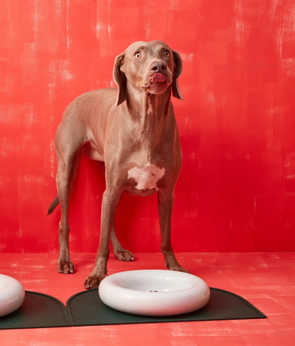 Weißer Keramiknapf für Hunde