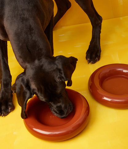 Brauner Keramiknapf für Hunde