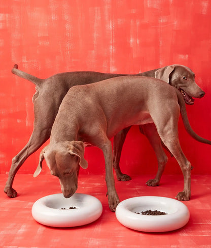 Weißer Keramiknapf für Hunde