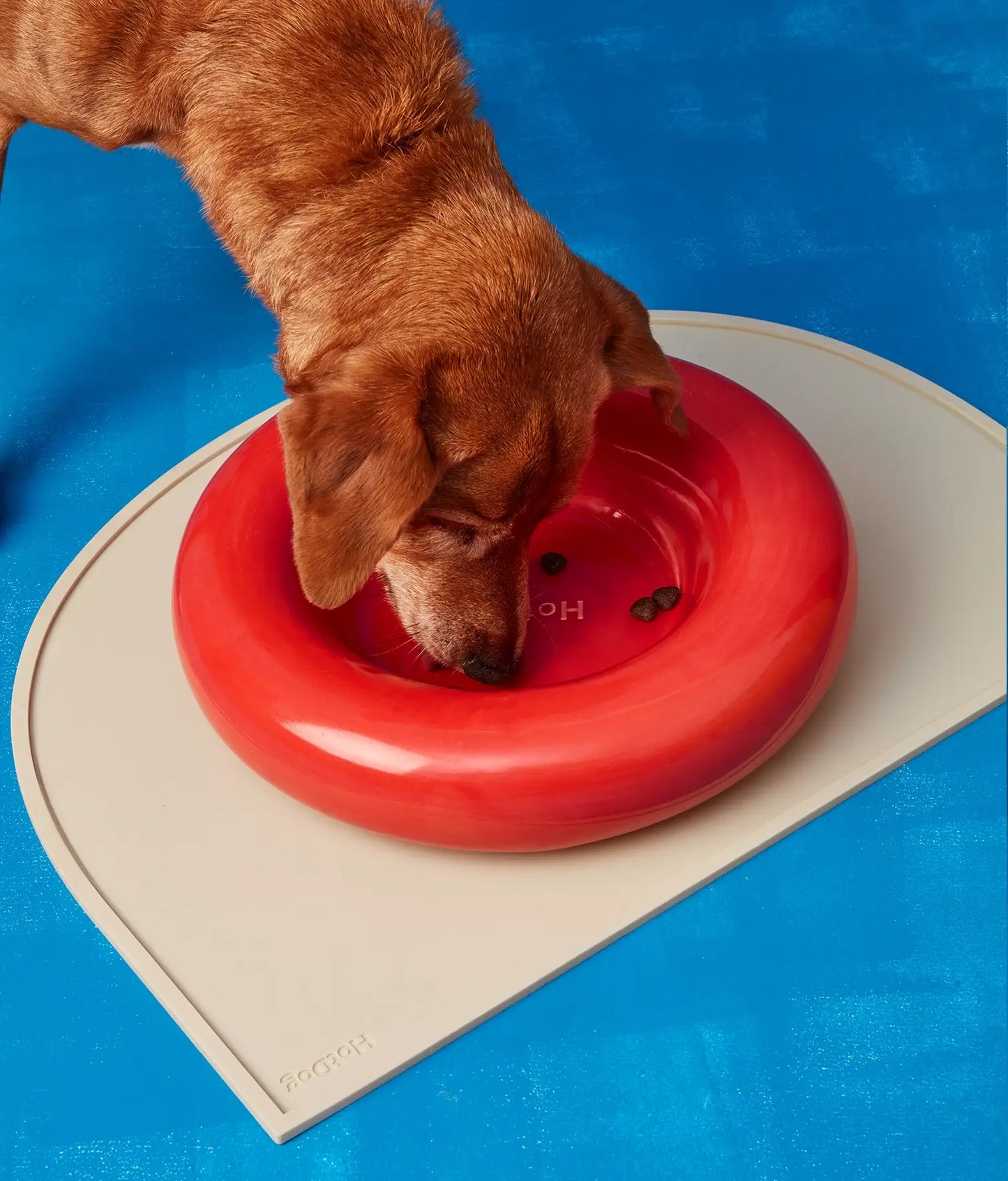 Weißer Keramiknapf für Hunde