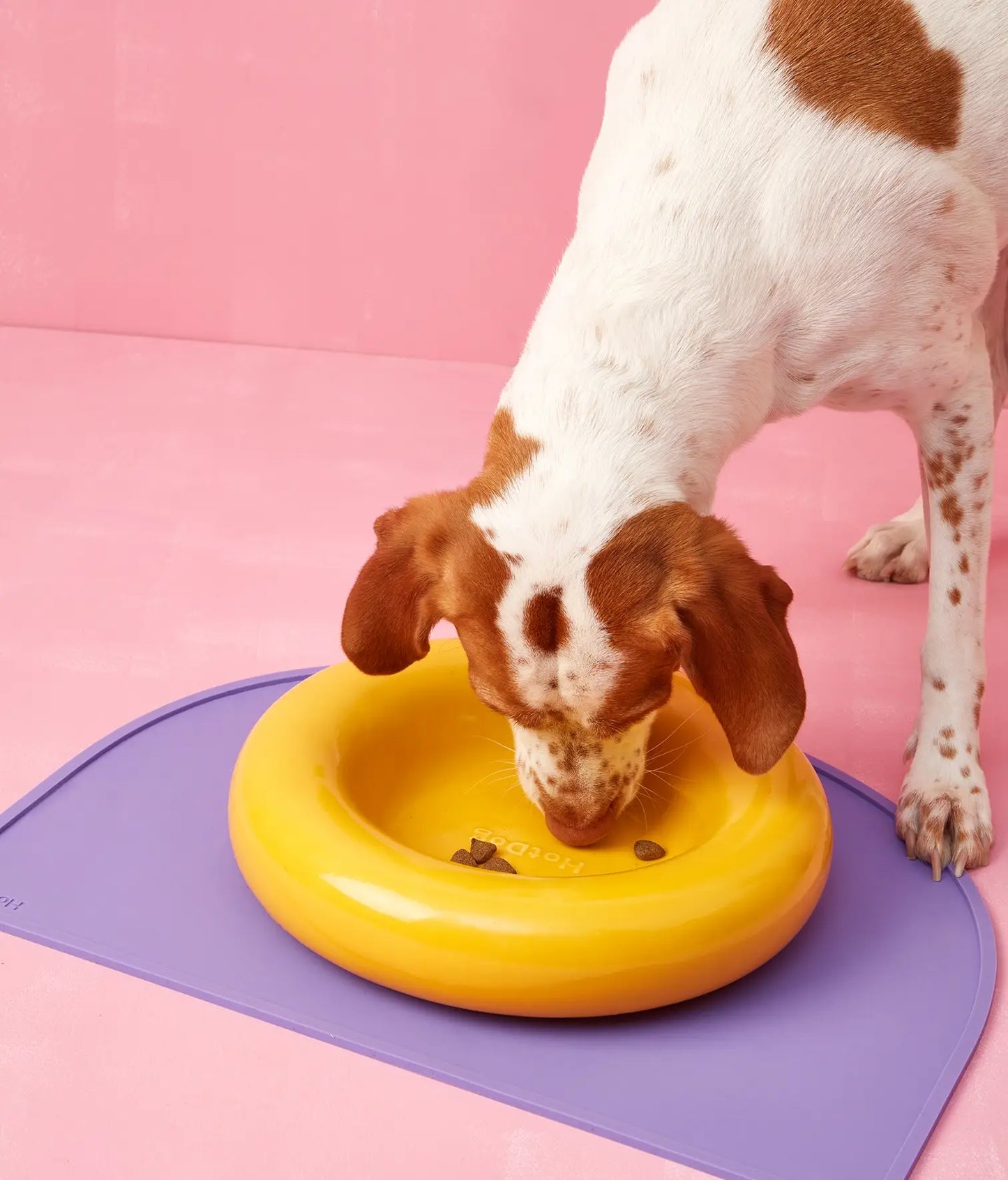 Weißer Keramiknapf für Hunde