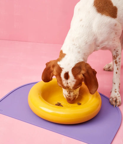Brauner Keramiknapf für Hunde