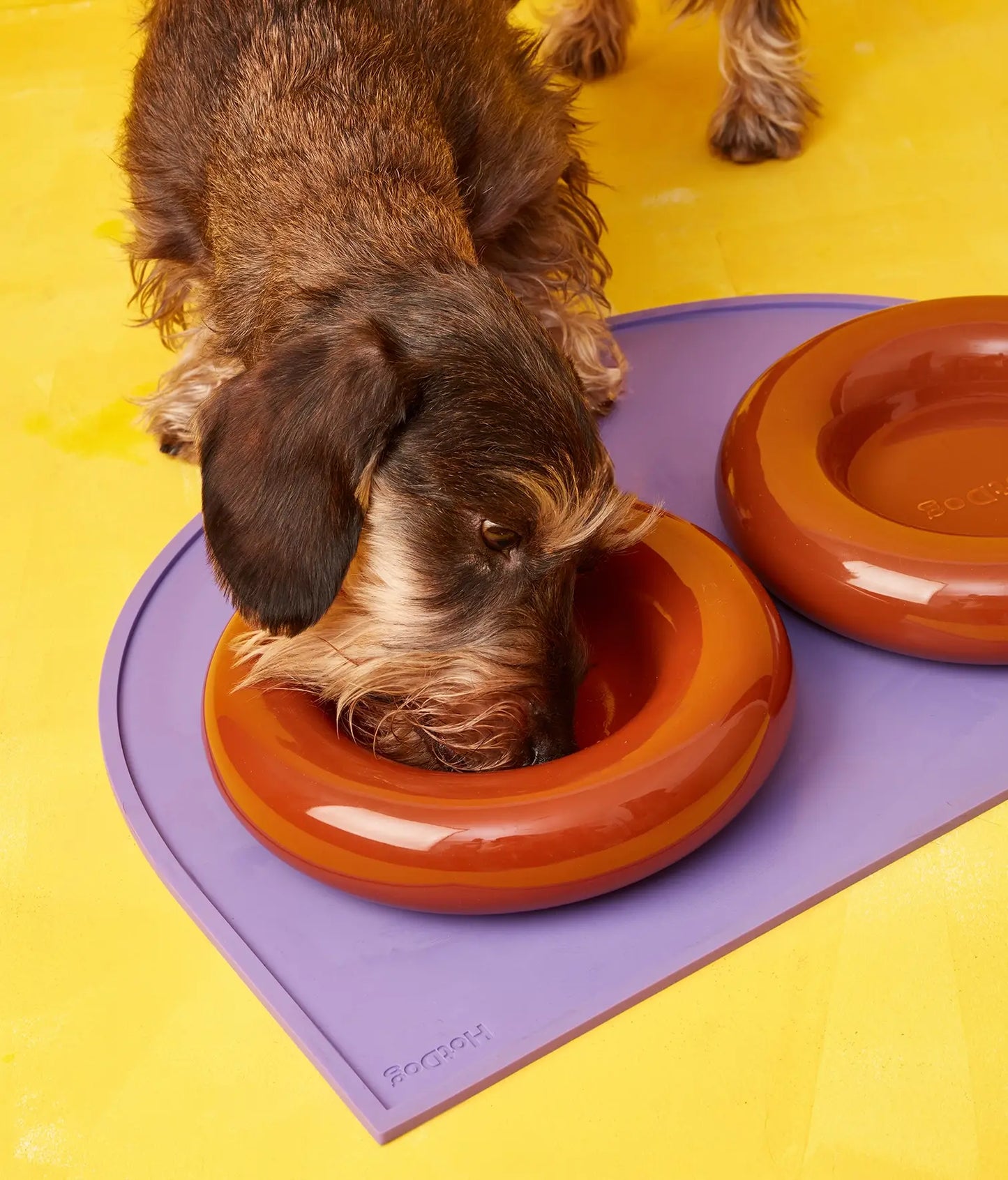 Weißer Keramiknapf für Hunde