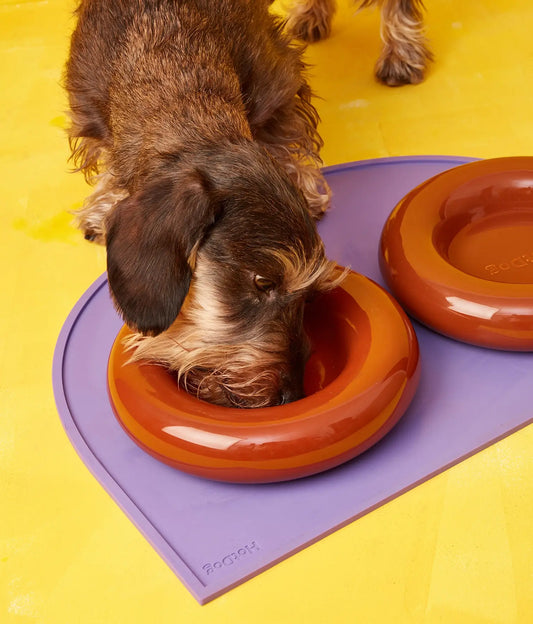 Brauner Keramiknapf für Hunde