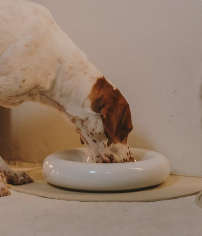 Weißer Keramiknapf für Hunde