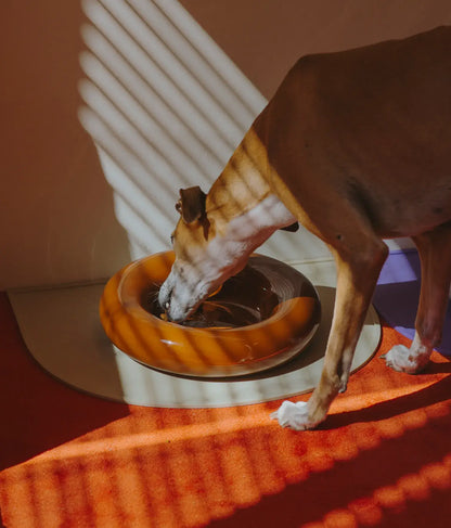 Brauner Keramiknapf für Hunde