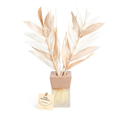 ZIMTDUFT s2 DIFFUSOR (50ml) HF
