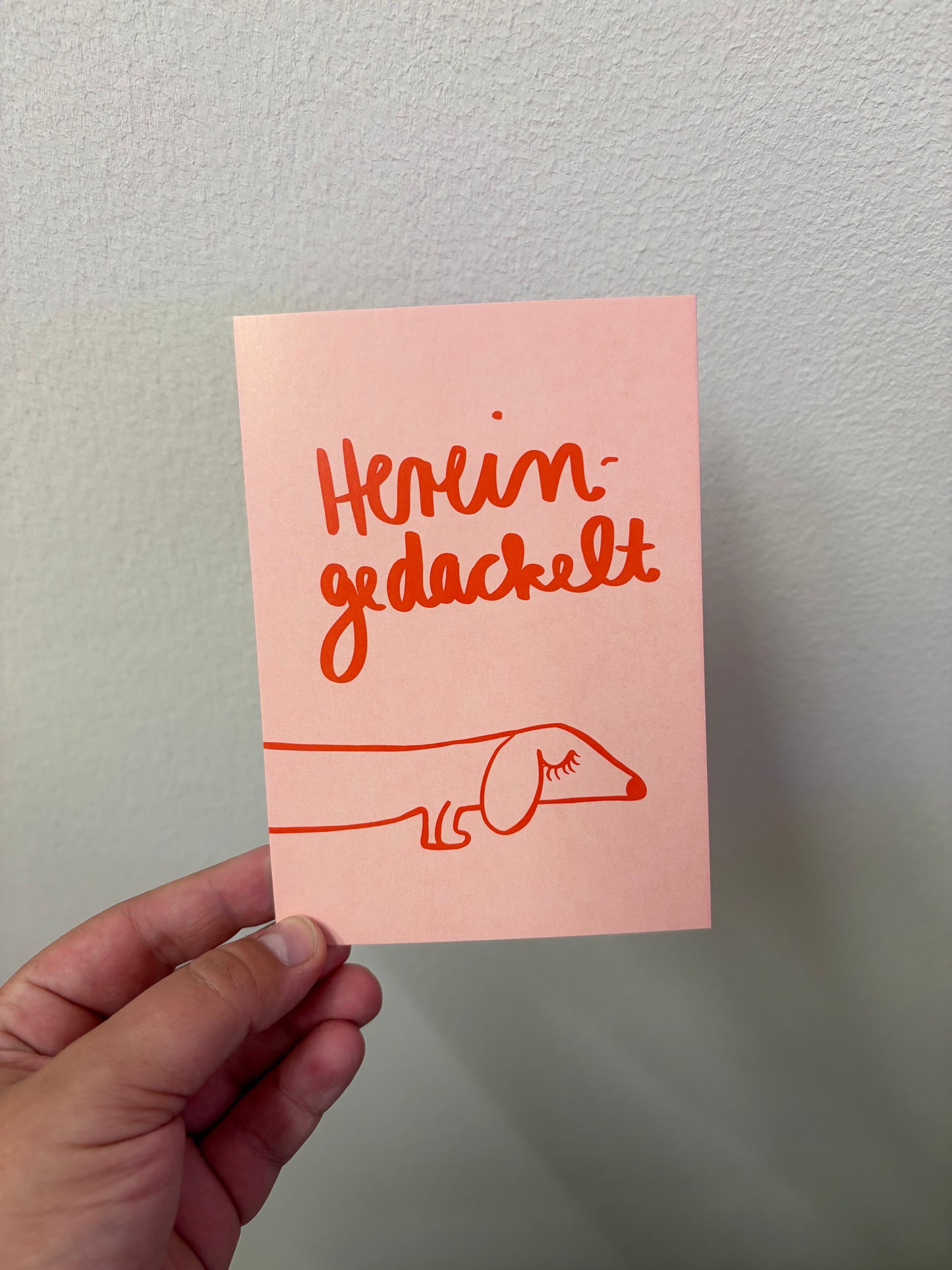 Hereingedackelt HejIbiza