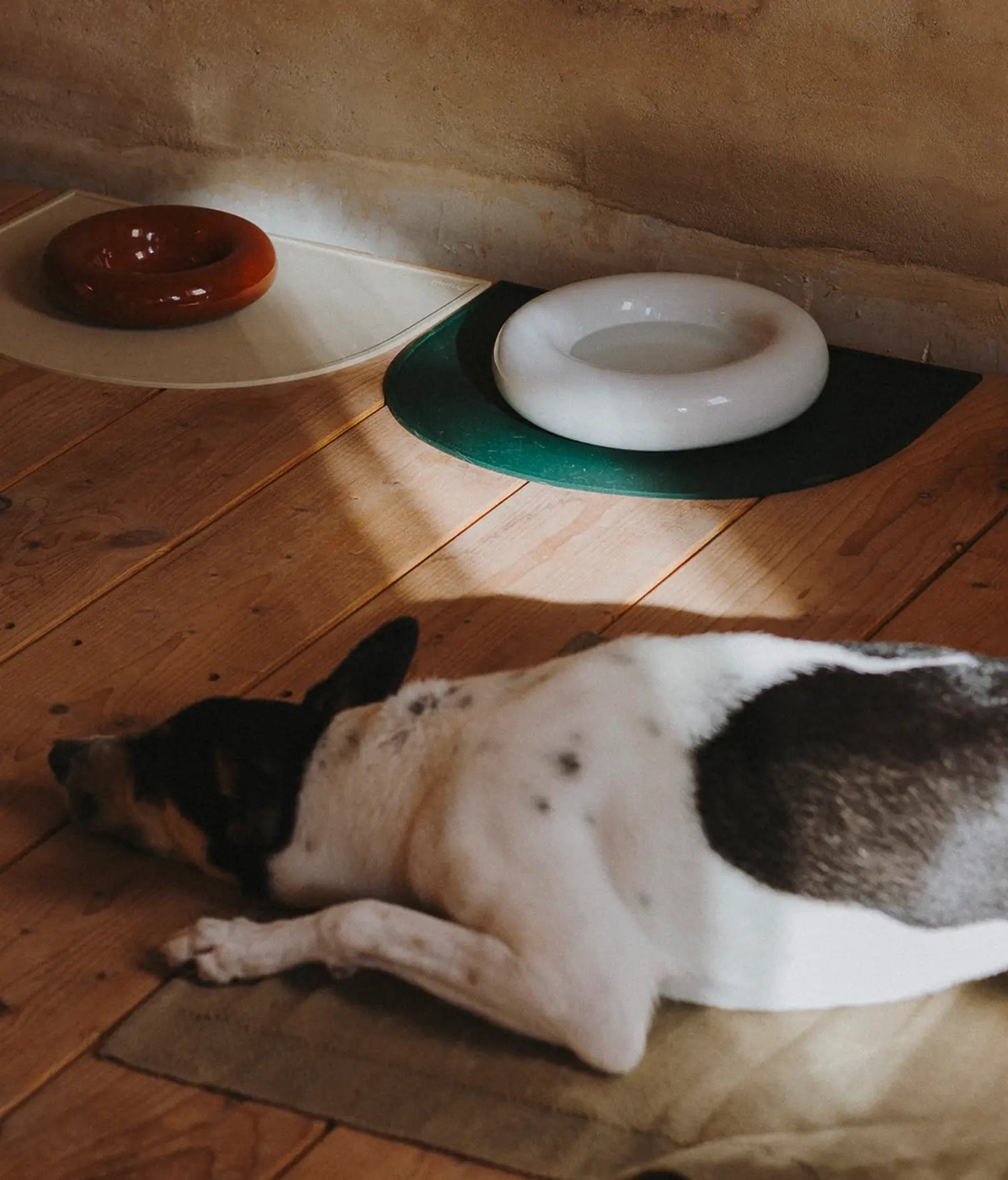 Weißer Keramiknapf für Hunde