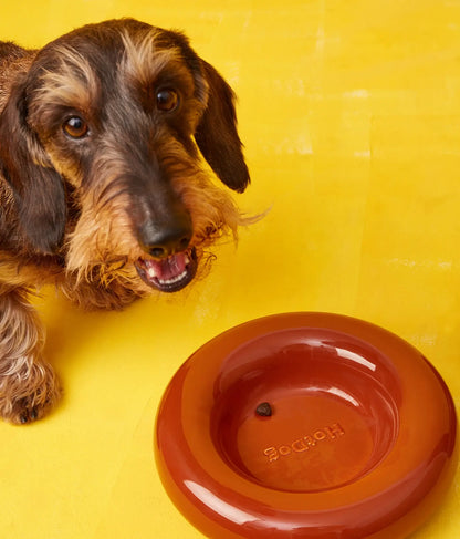 Brauner Keramiknapf für Hunde