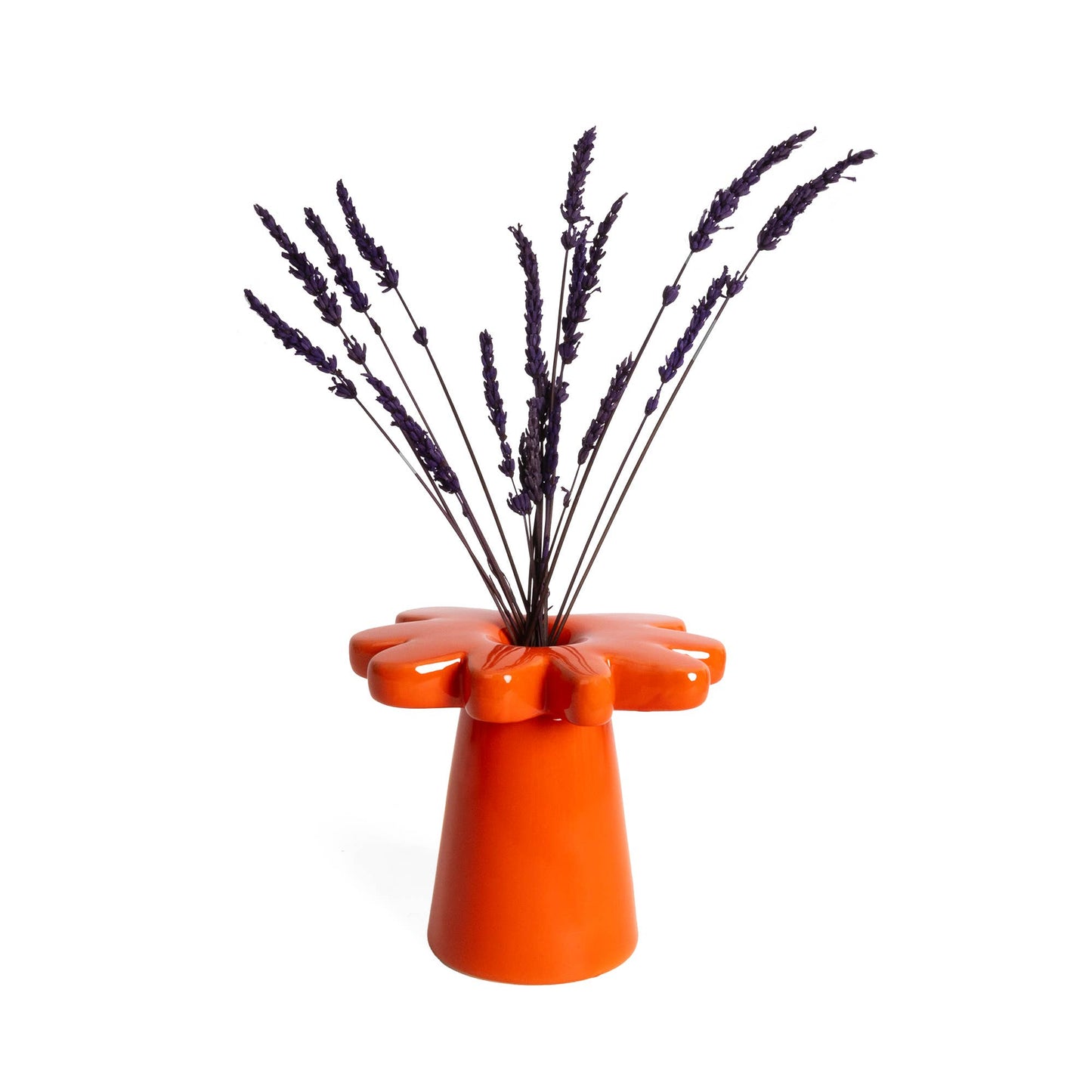 Orange Margeritenvase von Helio Ferretti