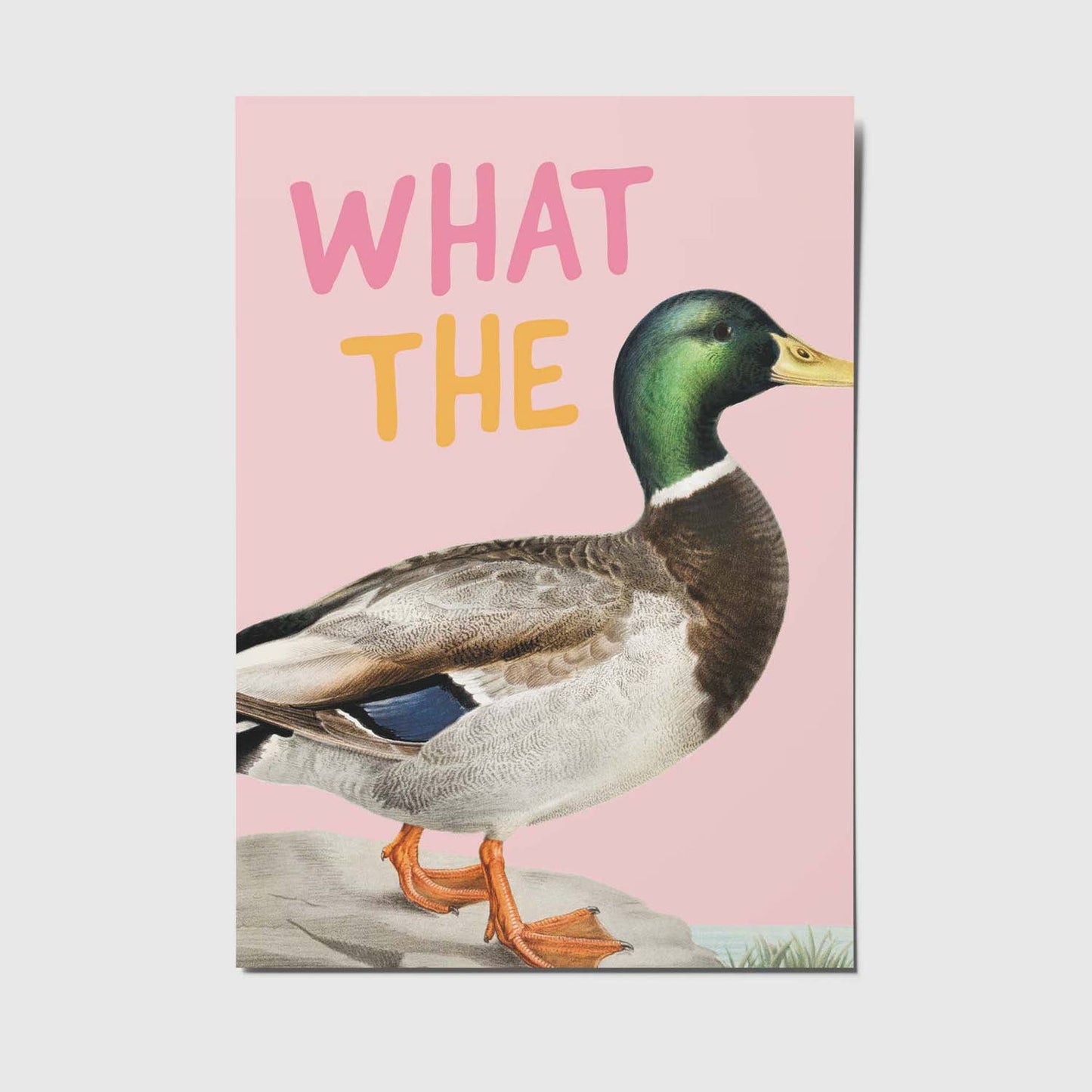What the duck - A6 Postkarte 