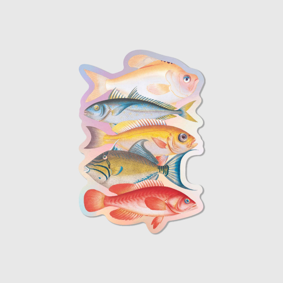Fische - Holografischer Vinyl Sticker