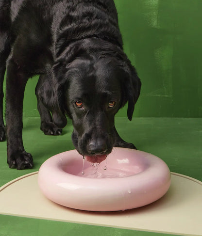 Weißer Keramiknapf für Hunde