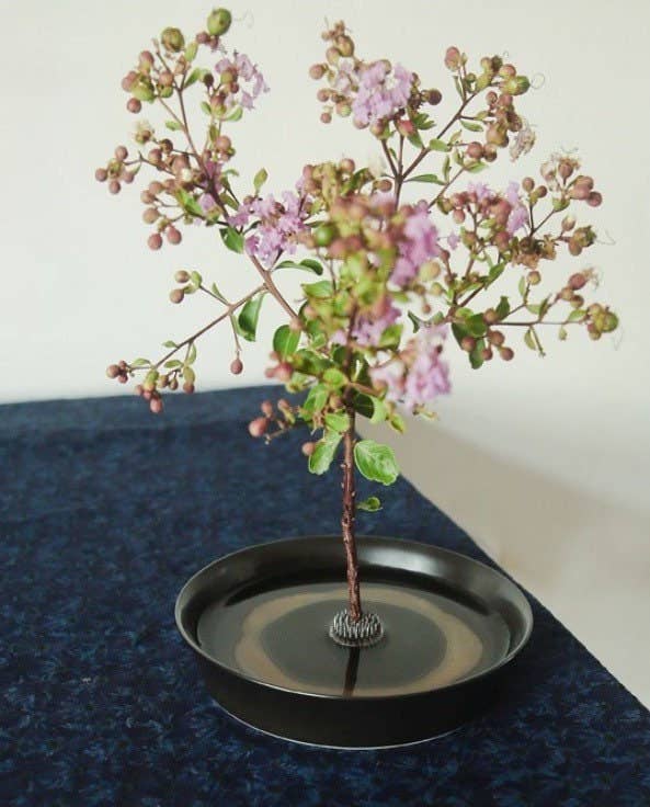 Gohobi Ikebana Kenzan Blumenhalter aus Edelstahl