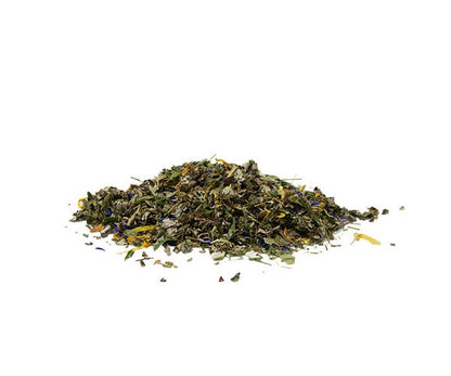 Minze Ginseng - Bio Superfood Tee